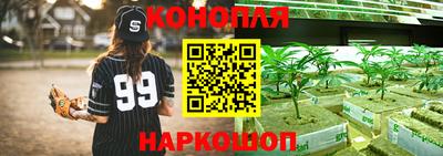 ПСИЛОЦИБИНОВЫЕ ГРИБЫ Кулебаки
