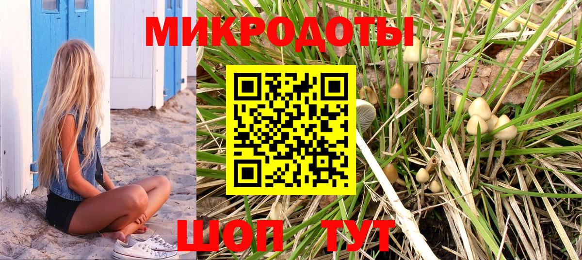 Дзержинск  Псилоцибиновые грибы мухоморы  наркотики  Галлюциногенные грибы Magic Shrooms  Вход с VPN 