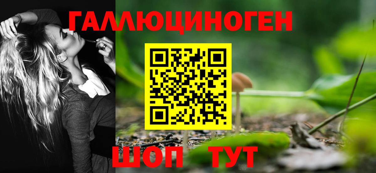 Псилоцибиновые грибы прущие грибы Дзержинск